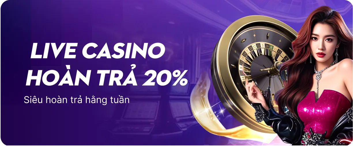promotion-data-image