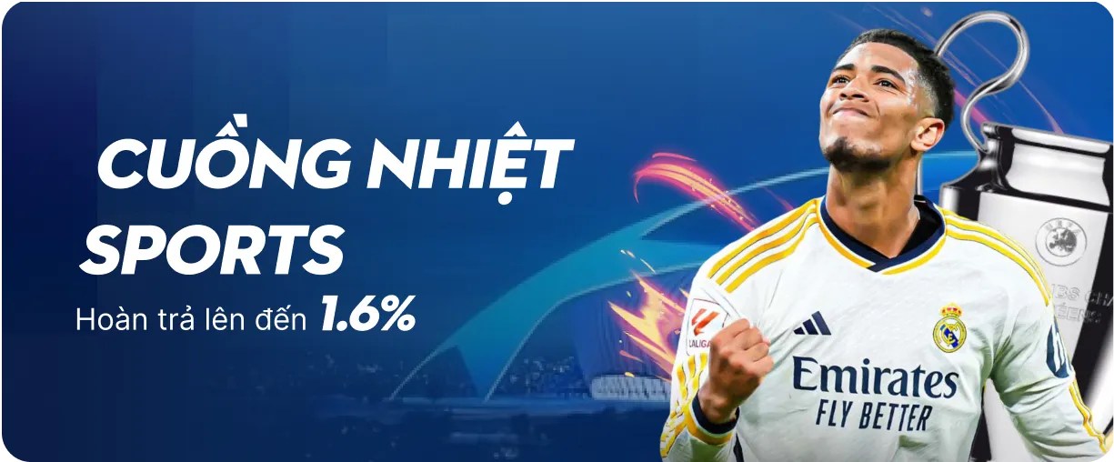 promotion-data-image